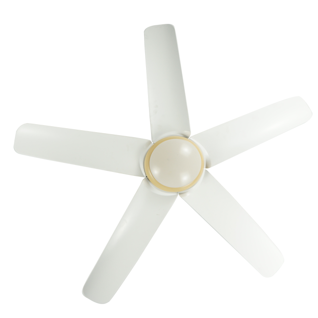 Ventilador de techo de luz decorativa de control remoto moderno interno